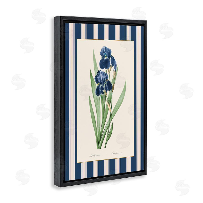 Corinne Haig | Iris Study over Stripes
