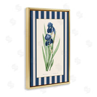 Corinne Haig | Iris Study over Stripes