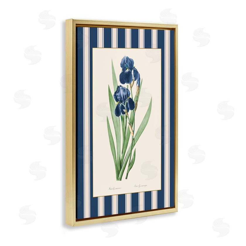 Corinne Haig | Iris Study over Stripes