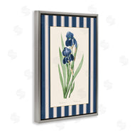 Corinne Haig | Iris Study over Stripes