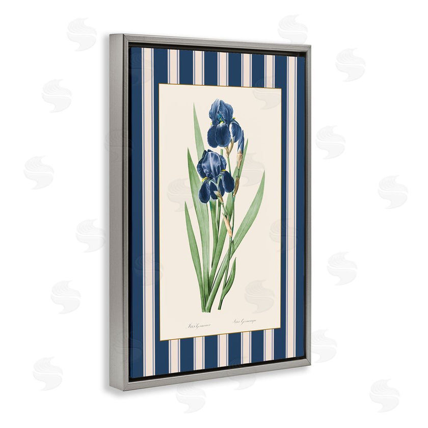 Corinne Haig | Iris Study over Stripes
