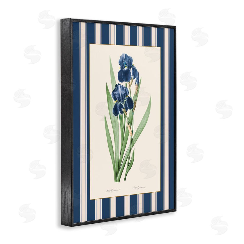 Corinne Haig | Iris Study over Stripes