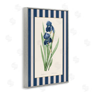 Corinne Haig | Iris Study over Stripes