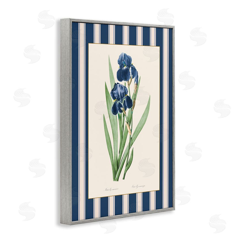 Corinne Haig | Iris Study over Stripes