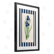 Corinne Haig | Iris Study over Stripes