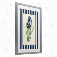 Corinne Haig | Iris Study over Stripes