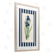 Corinne Haig | Iris Study over Stripes