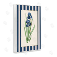 Corinne Haig | Iris Study over Stripes