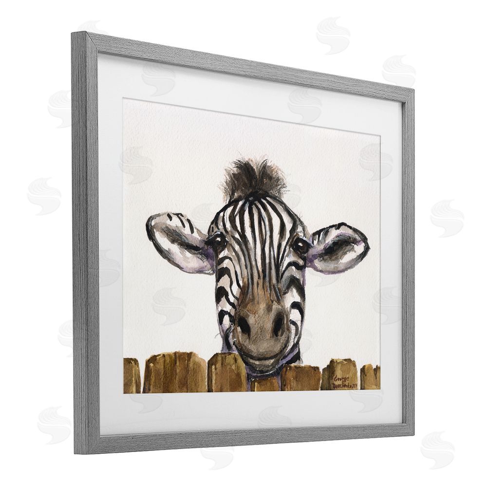 George Dyachenko Cute Zebra Above Fence Gray Framed Print Under Glass with White Mat Wall Art
