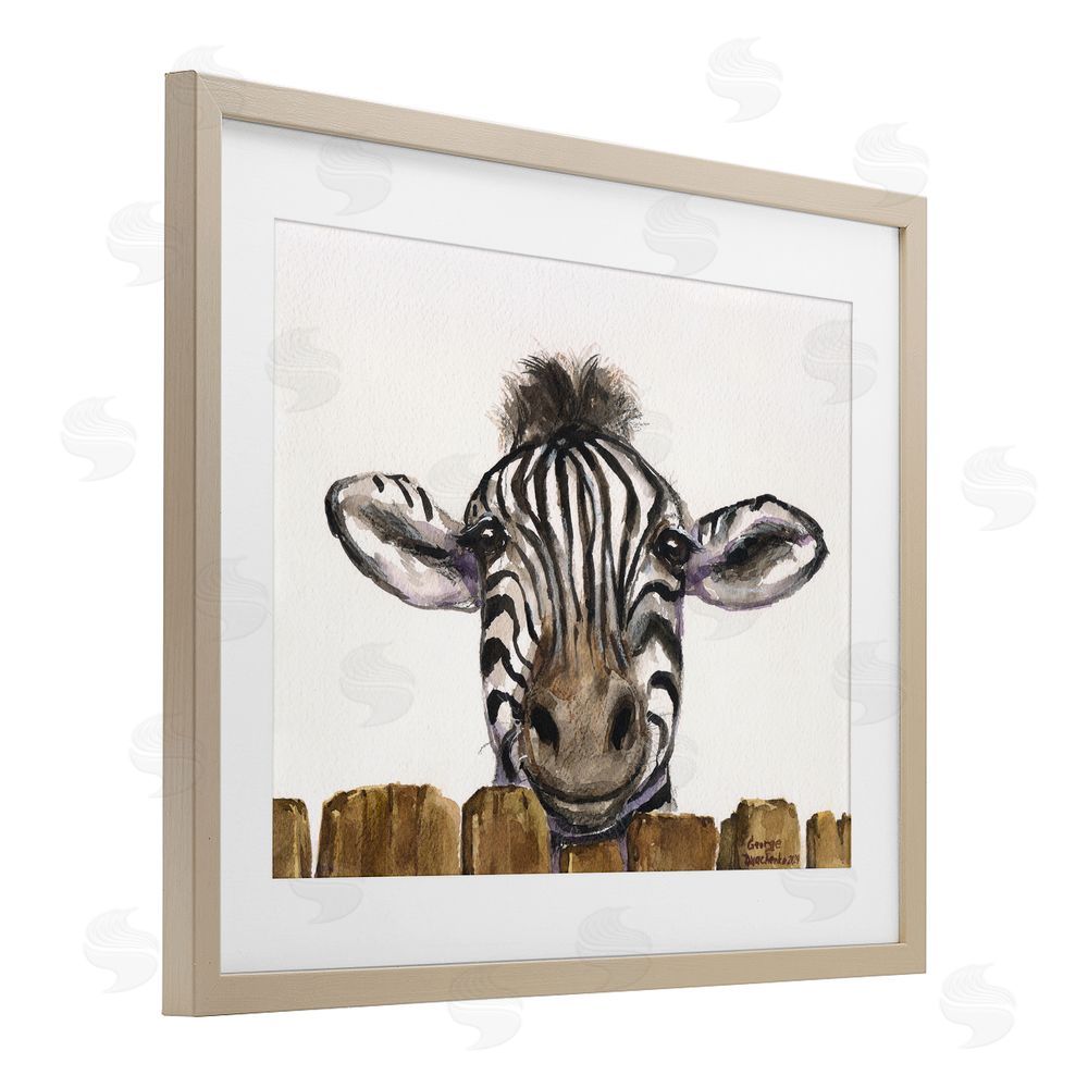 George Dyachenko Cute Zebra Above Fence Birch Framed Print Under Glass with White Mat Wall Art