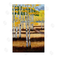 Julie Peterson | Autumn Birch Trees Field