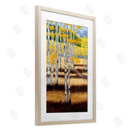 Julie Peterson | Autumn Birch Trees Field