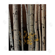 Julie Peterson | Autumnal Birch Tree Trunks