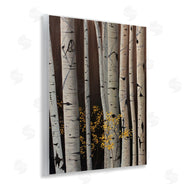 Julie Peterson | Autumnal Birch Tree Trunks