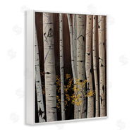 Julie Peterson | Autumnal Birch Tree Trunks
