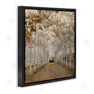 Assaf Frank | White Gold Birch Grove