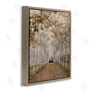 Assaf Frank | White Gold Birch Grove