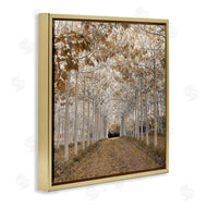 Assaf Frank | White Gold Birch Grove