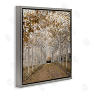 Assaf Frank | White Gold Birch Grove