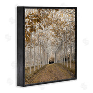 Assaf Frank | White Gold Birch Grove