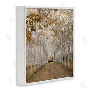 Assaf Frank | White Gold Birch Grove