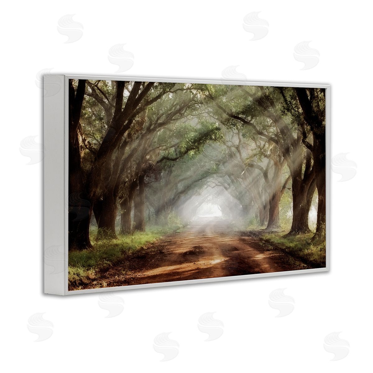 Mike Jones Sunlit Evergreen Grove Canvas Wall Art Print