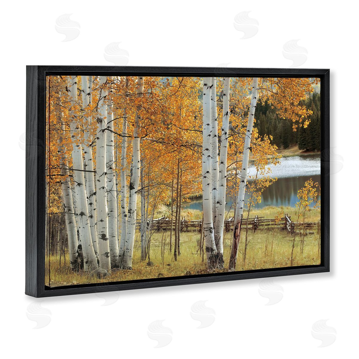 Mike Jones Autumnal Birch Beauty Canvas Wall Art Print