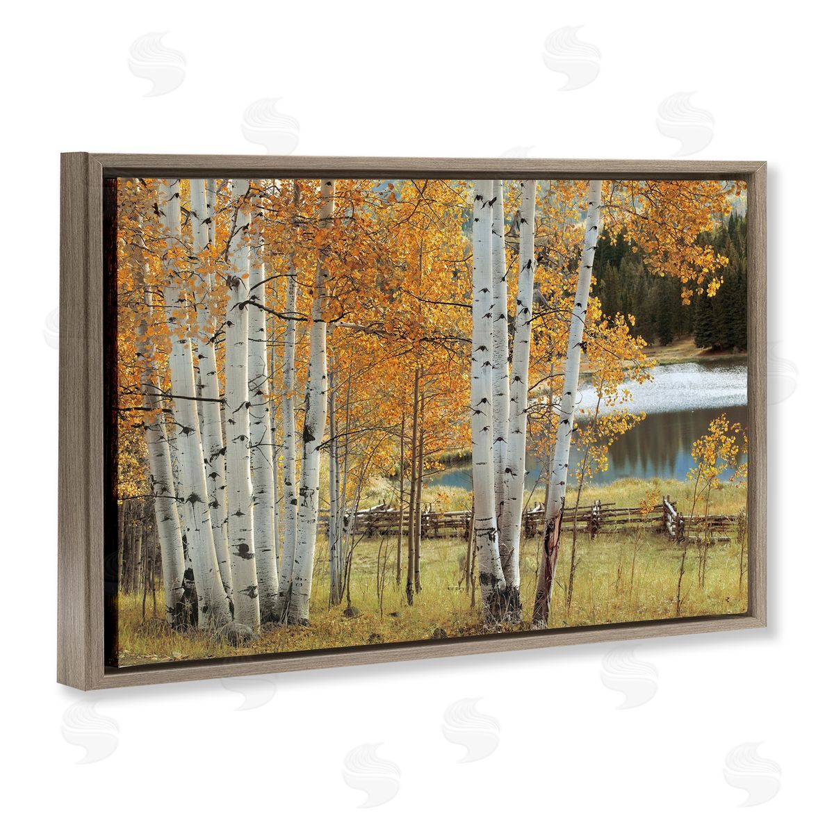 Mike Jones Autumnal Birch Beauty Canvas Wall Art Print