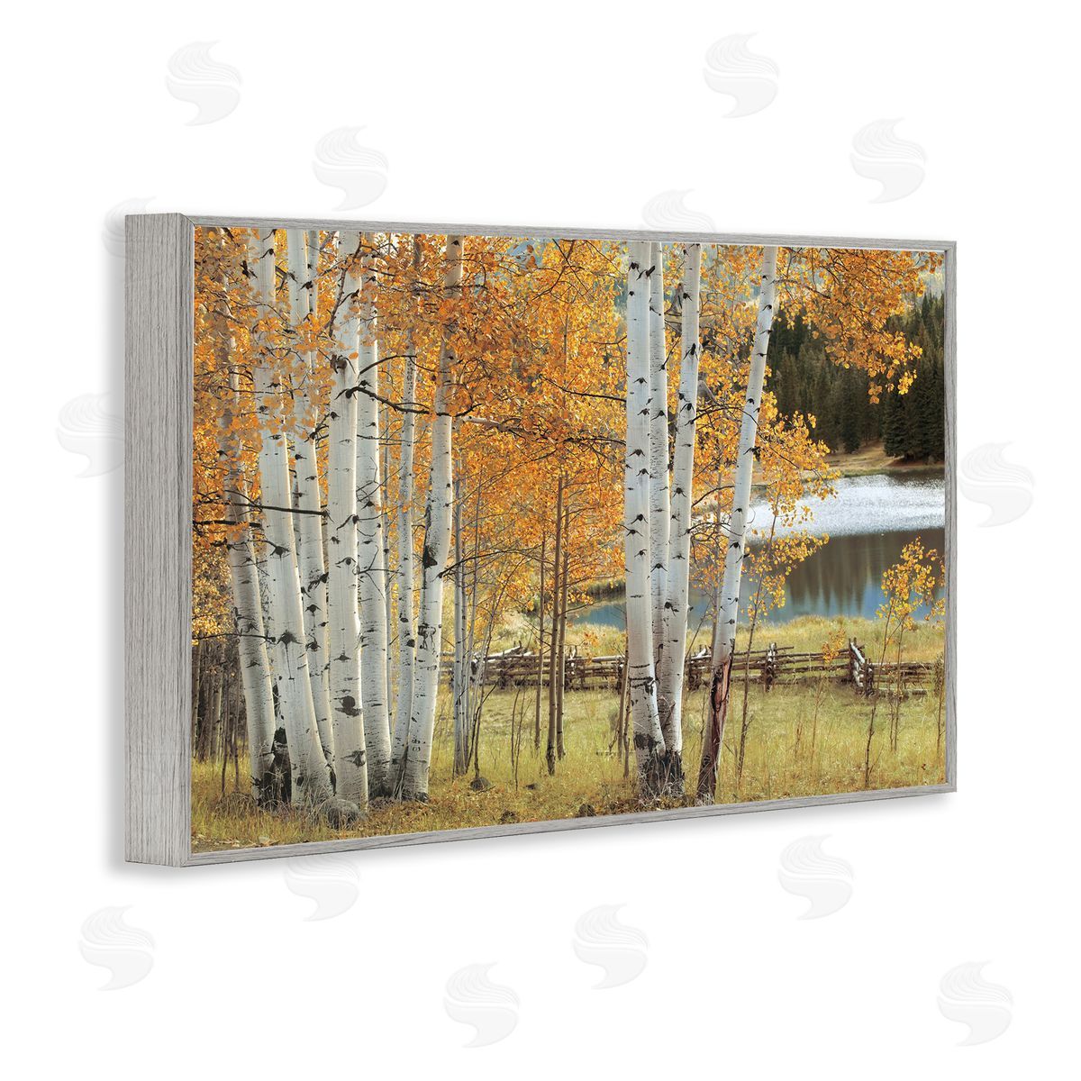 Mike Jones Autumnal Birch Beauty Canvas Wall Art Print