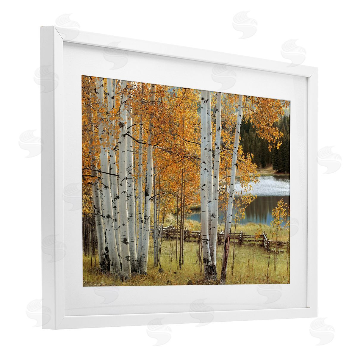 Mike Jones Autumnal Birch Beauty Canvas Wall Art Print
