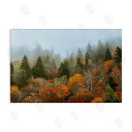 D. Burt | Autumn Mountain Overview