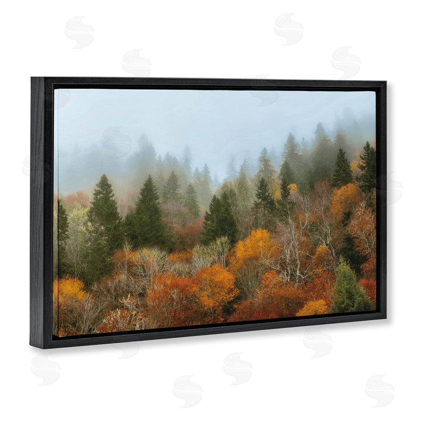 D. Burt | Autumn Mountain Overview
