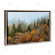D. Burt | Autumn Mountain Overview