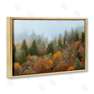 D. Burt | Autumn Mountain Overview