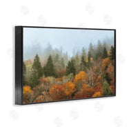 D. Burt | Autumn Mountain Overview