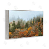 D. Burt | Autumn Mountain Overview