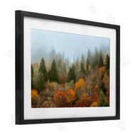 D. Burt | Autumn Mountain Overview