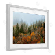 D. Burt | Autumn Mountain Overview
