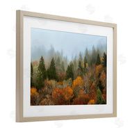 D. Burt | Autumn Mountain Overview