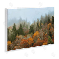 D. Burt | Autumn Mountain Overview