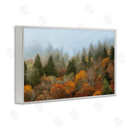 D. Burt | Autumn Mountain Overview