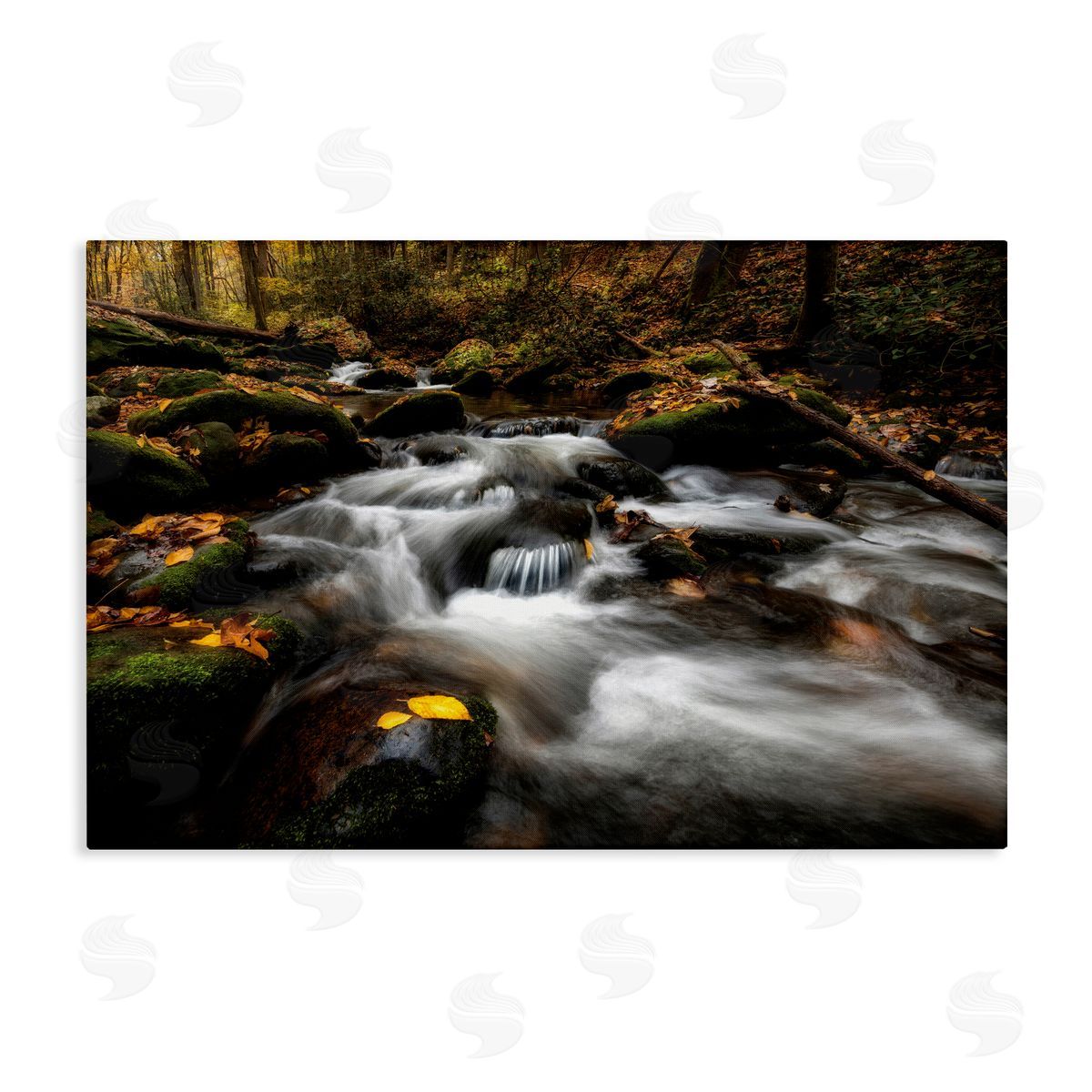 D. Burt Fallen Leaves on Stream Canvas Wall Art Print