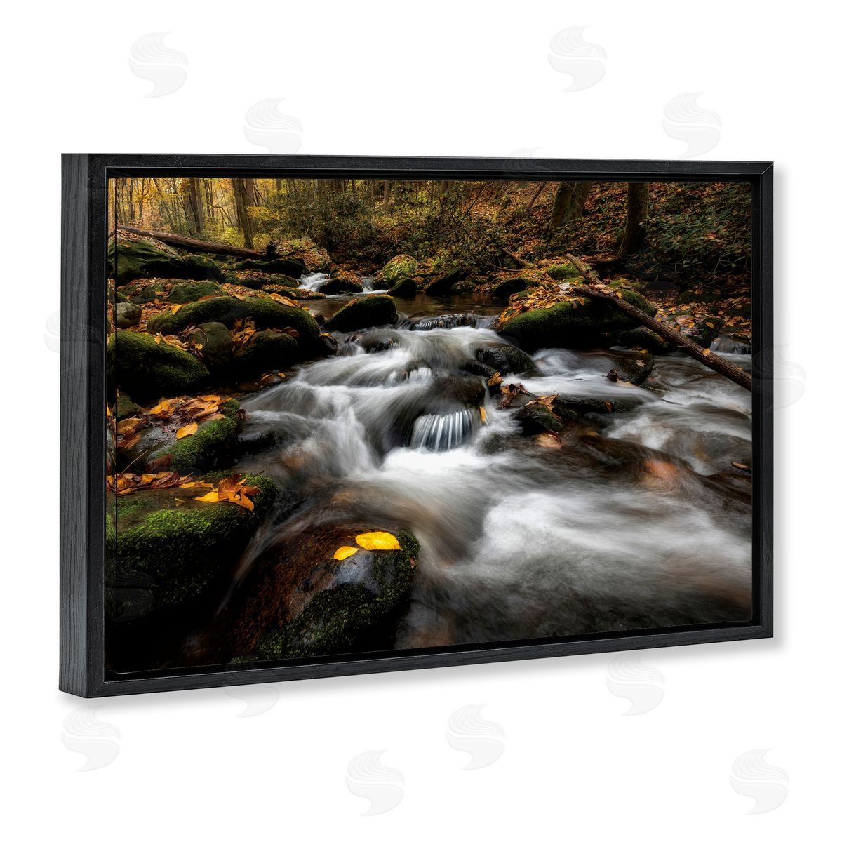 D. Burt Fallen Leaves on Stream Canvas Wall Art Print