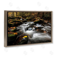 D. Burt | Fallen Leaves on Stream