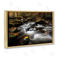 D. Burt | Fallen Leaves on Stream