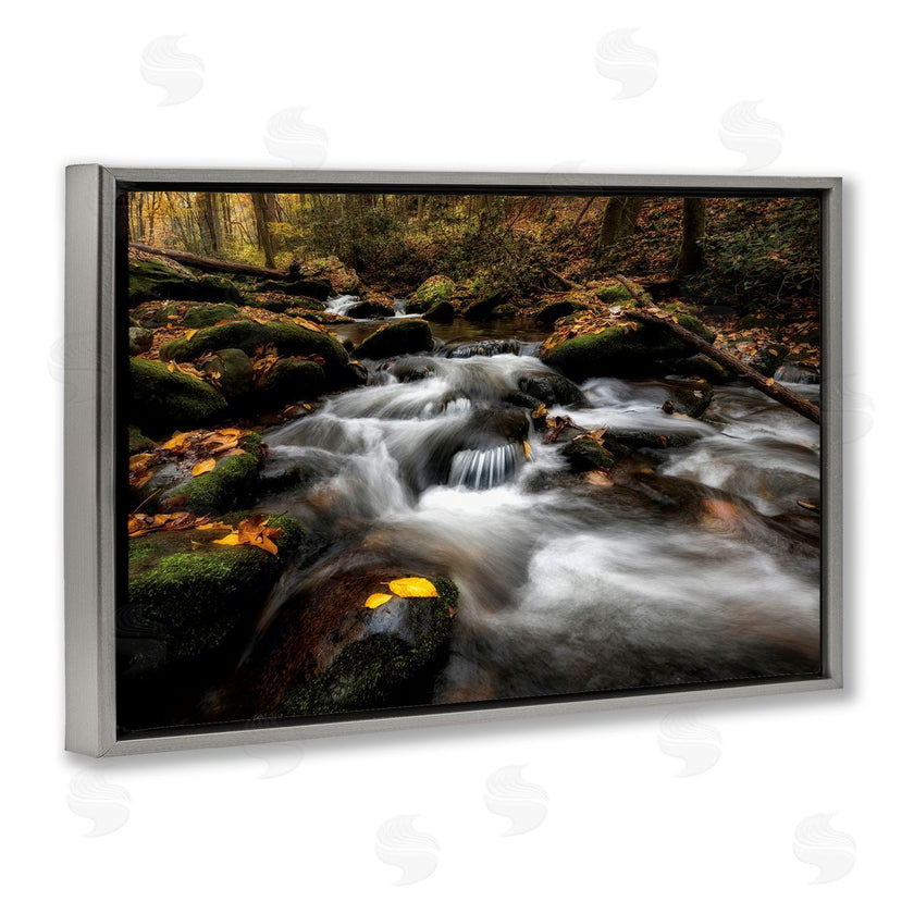 D. Burt | Fallen Leaves on Stream