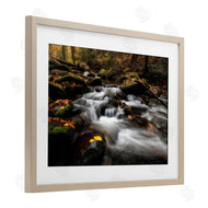 D. Burt | Fallen Leaves on Stream