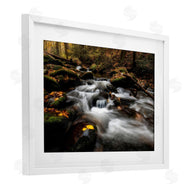 D. Burt | Fallen Leaves on Stream