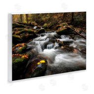 D. Burt | Fallen Leaves on Stream