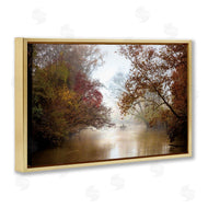Celebrate Life Gallery | In The Mist Of Autumn